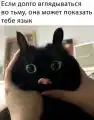 17819519422756.png