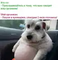 17819519422783.png