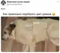 17819787653311.png