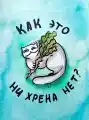 17820575286530.png