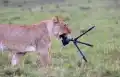17820581146638.png