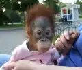 17820581146666.png