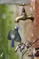 17820589835785.png