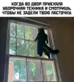 17820589835795.png