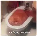 17820589835815.png