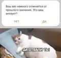 17820605856971.png