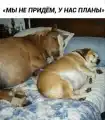 17820616373845.png