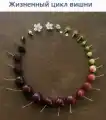 17821432760915.png