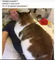 17822411837677.png