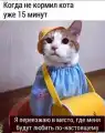 17823024433433.png
