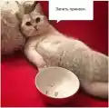 17823024433453.png