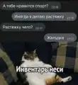 17823024433458.png