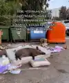 17823036650370.png