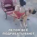 17823116920064.png