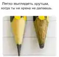 17824048431449.png
