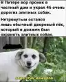 17824071310473.png
