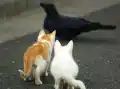 17824071310482.png