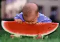 17824071310502.png