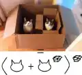 17827226196188.png