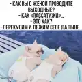 17827226196241.png