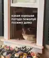 17827226196249.png