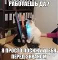 17828978809953.png
