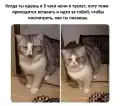 17828978809979.png
