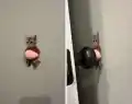 17828984006096.png