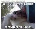 17828987064151.png