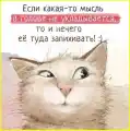 17829198125007.png