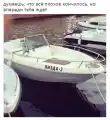 17830102423886.png