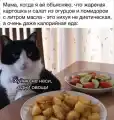 17830979138646.png