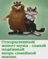 17832380872624.png