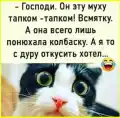 17832380872629.png