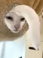 17832481567484.png