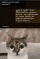 17833514711079.png