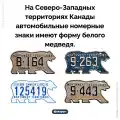 17833614789357.png