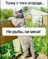 17834483193543.png