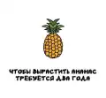 17835169139524.png