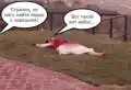17836085429157.png