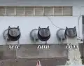 17836085429216.png