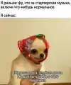 17837711588065.png