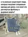 17837711588070.png
