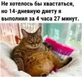 17837711588092.png