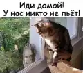 17837718795612.png