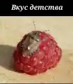 17838517588253.png
