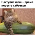 17838517588282.png