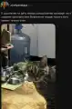 17838517588325.png
