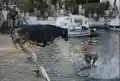 17838520938686.png