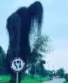 17838524172195.png